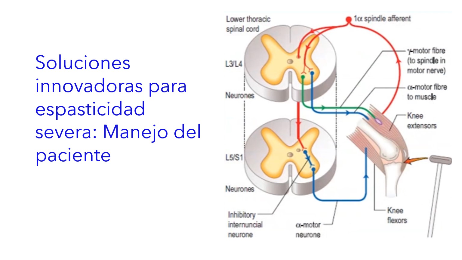 Slide18.jpg